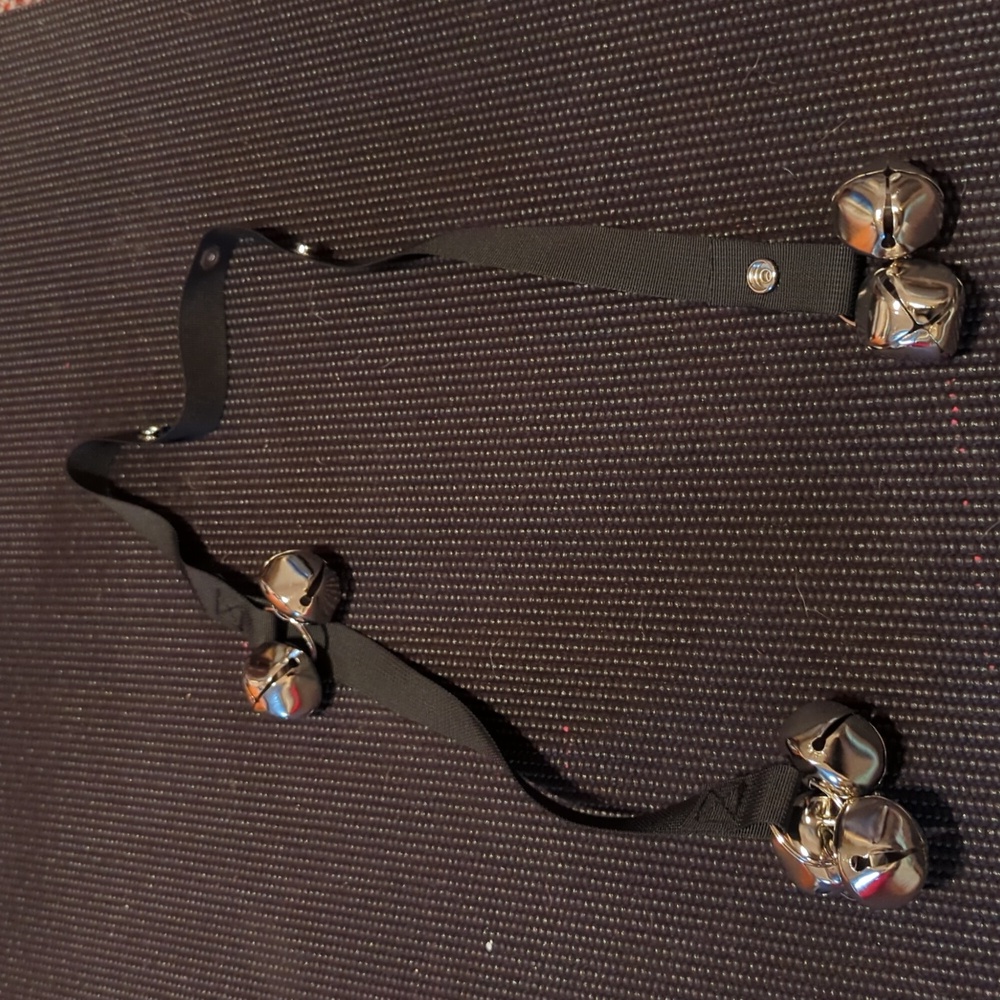 Potty training bells